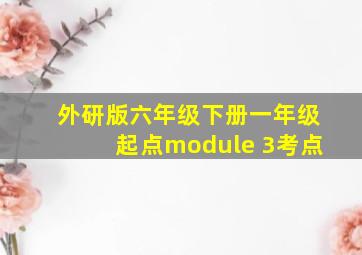 外研版六年级下册一年级起点module 3考点